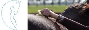 Guasha Therapy for Horses